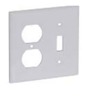Receptacle/Switch Plate Ivory