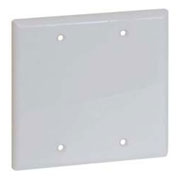 Double Blank Wall Plate