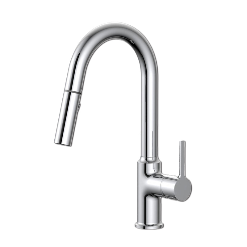 Kitchen Faucet with Pull Down Spray
