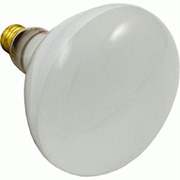 500W R40 Pool Light Bulb