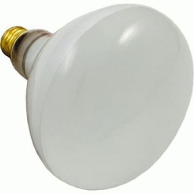 500W R40 Pool Light Bulb