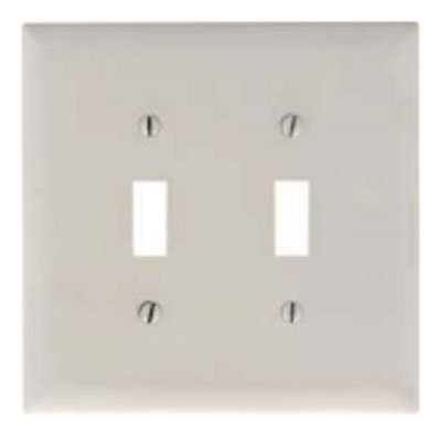 Double Light Switch Plate Ivory