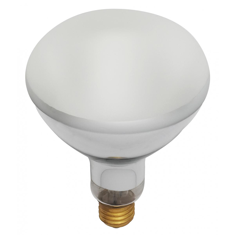 500W R40 Pool Light Bulb
