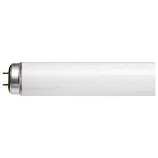 36" F30T12 Cool White Fluorescent Bulb - 30 Watts