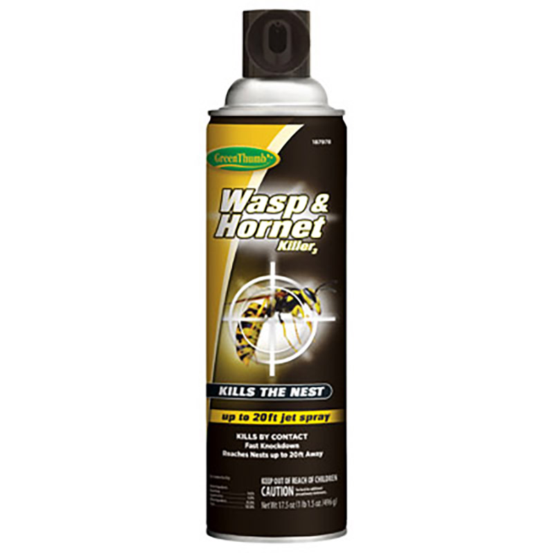 Wasp & Hornet Spray 14 Oz