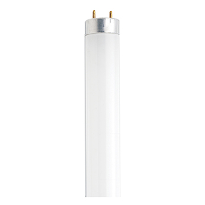 18" 15W F15T8 Fluorescent Bulb