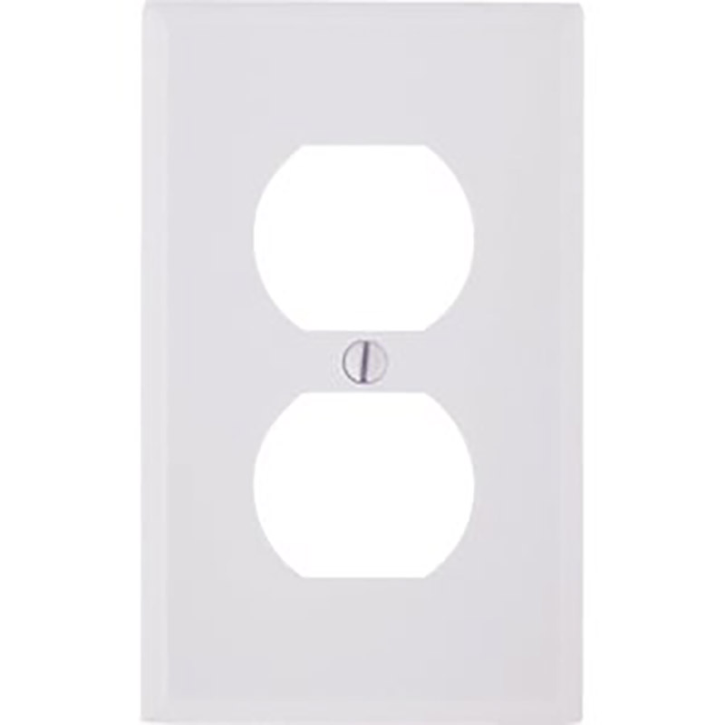 Duplex Receptacle Plate Ivory