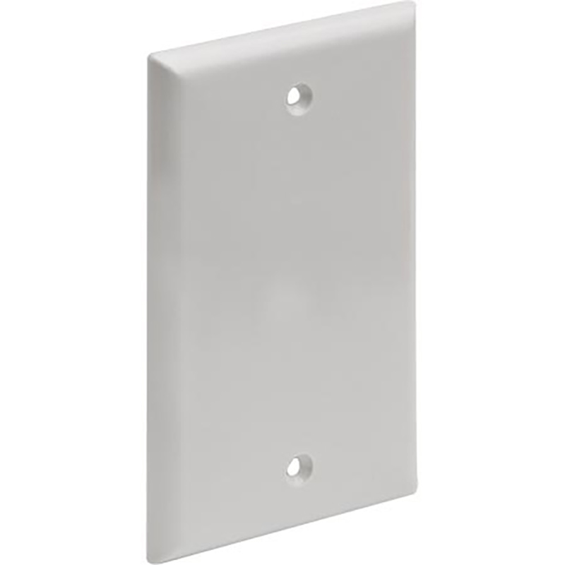 Blank Wall Plate