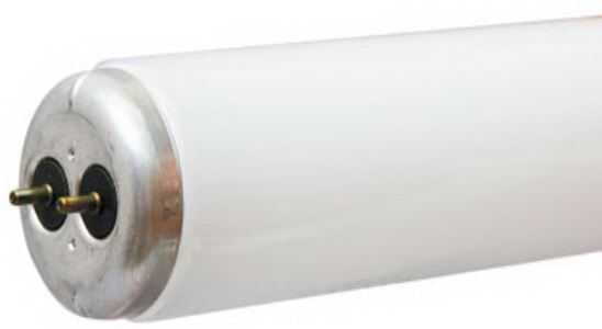 Fluorescent Tube Bulb - 40 Watts  - Case of 30 - Sold Each