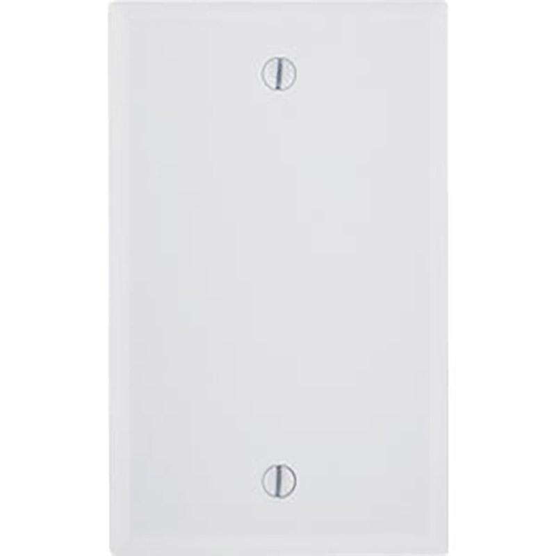 Blank Wall Plate